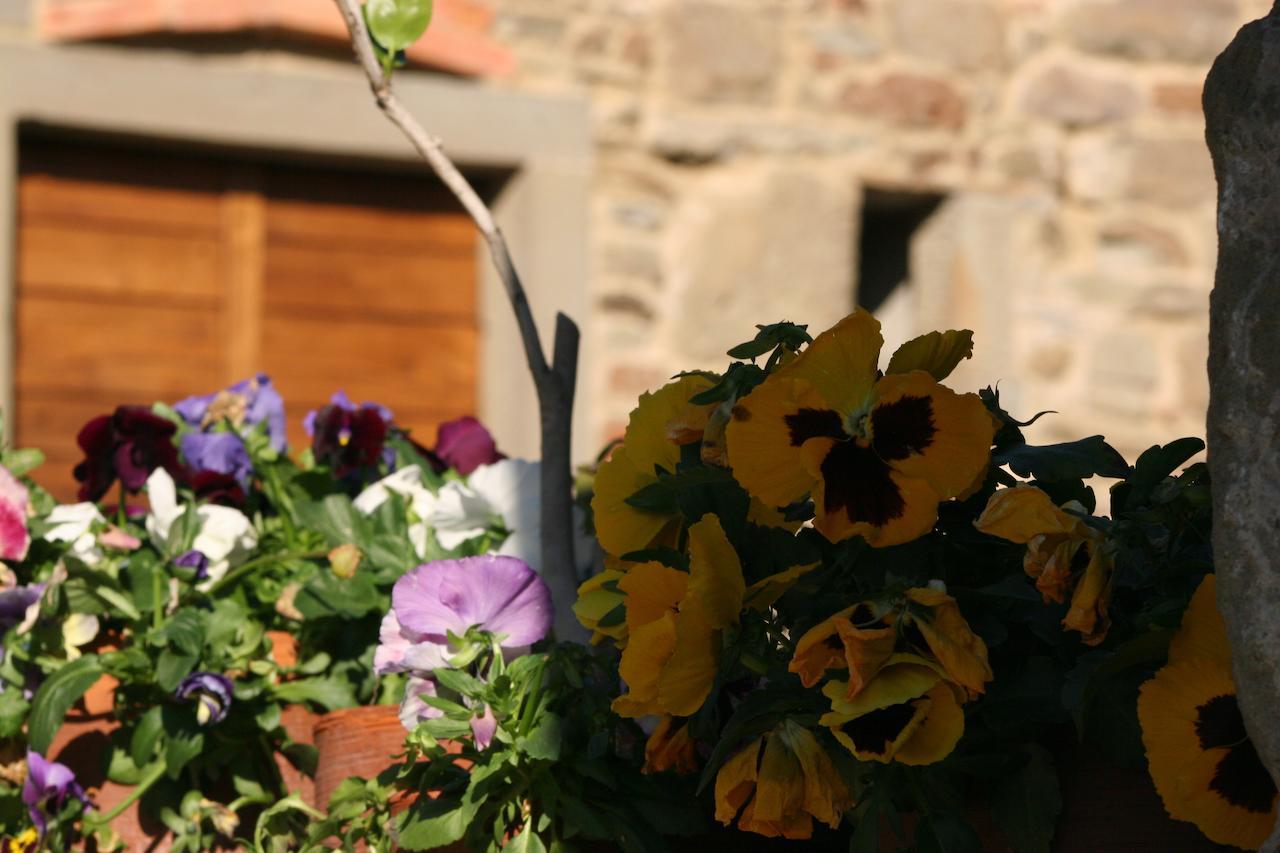 Podere Pian De' Cortini Villa Serravalle  ภายนอก รูปภาพ