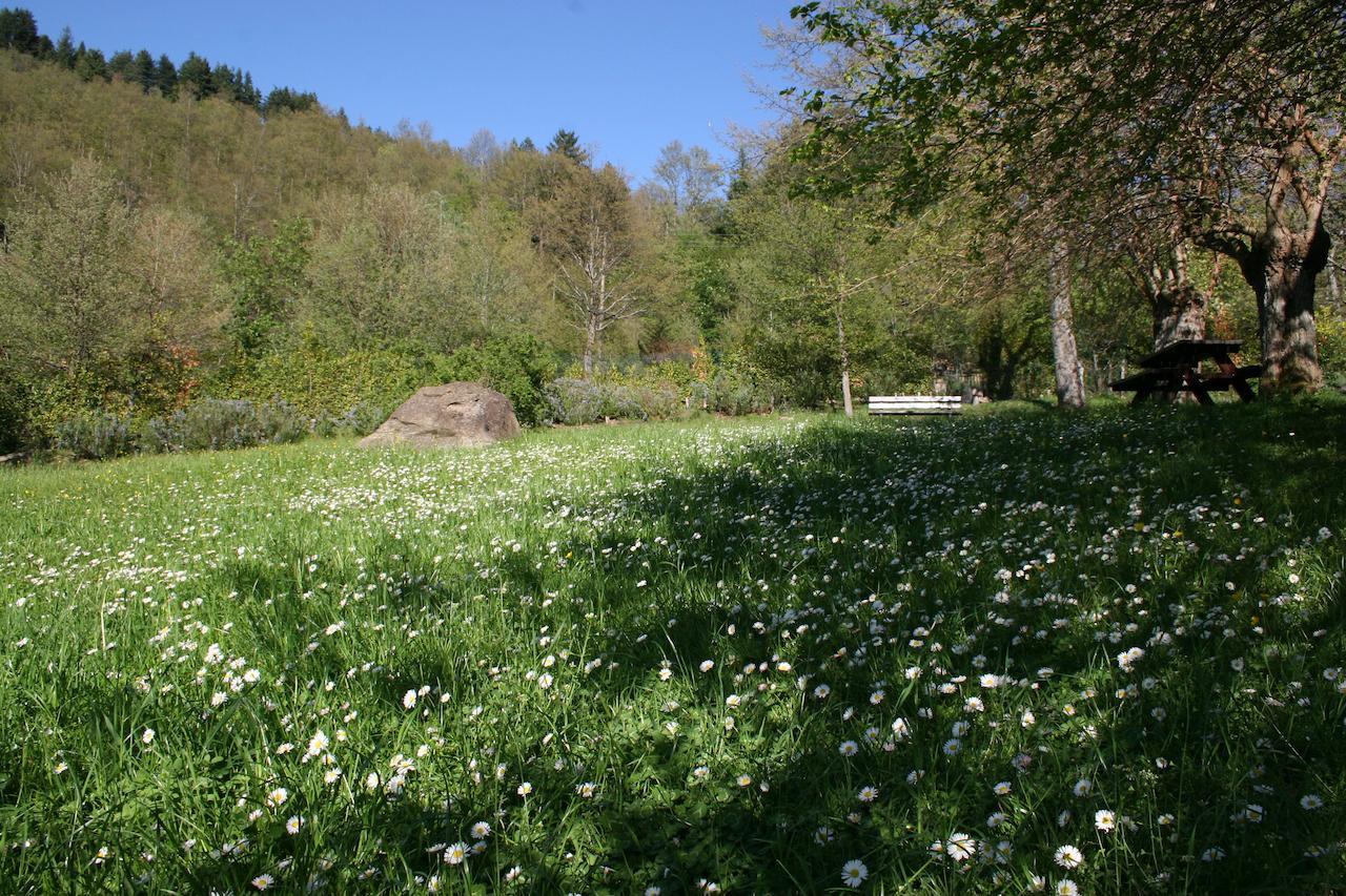 Podere Pian De' Cortini Villa Serravalle  ภายนอก รูปภาพ